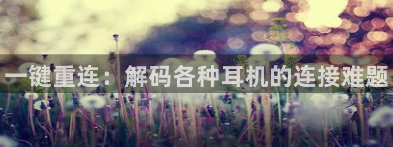 代理辉达娱乐官方网址：一键重连：解码各种耳机的连接难题