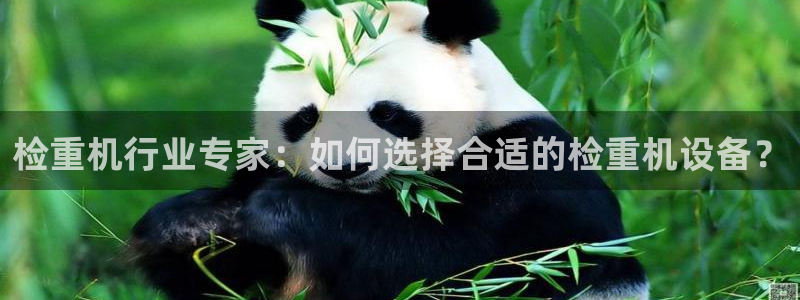 辉达娱乐：检重机行业专家：如何选择合适的检重机设备？