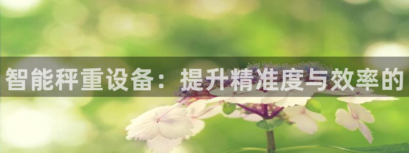 辉达娱乐游戏.直开.中国