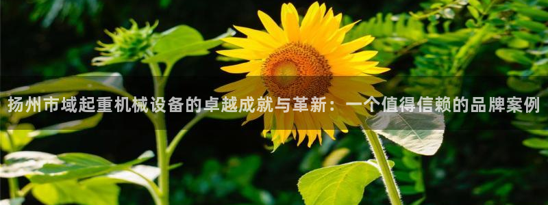 专业辉达娱乐平台