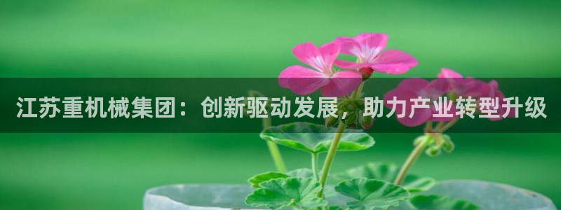 正规辉达娱乐官方网址