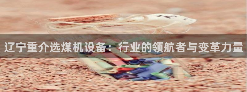 辉达平台注册流程：辽宁重介选煤机设备：行业的领航者与变革力量