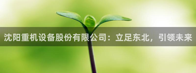 辉达平台官网下载