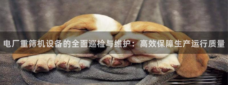 达娱乐辉70667：电厂重筛机设备的全面巡检与维护：高效保障