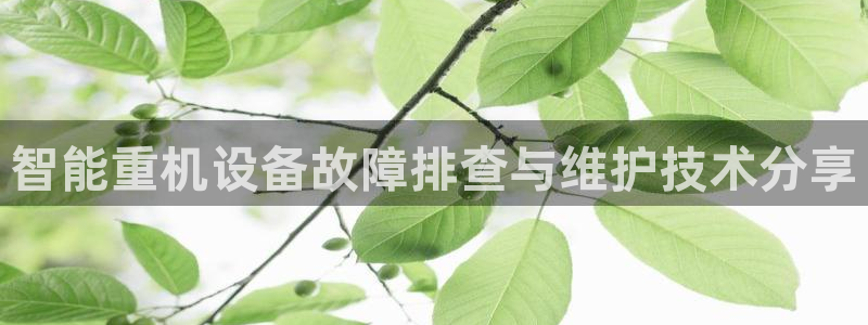 正规辉达娱乐